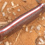 Нож "Модель Х М" 208.0850 D2 конв 