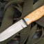 Нож "Полярный 2" АиР (95х18, карельская береза)